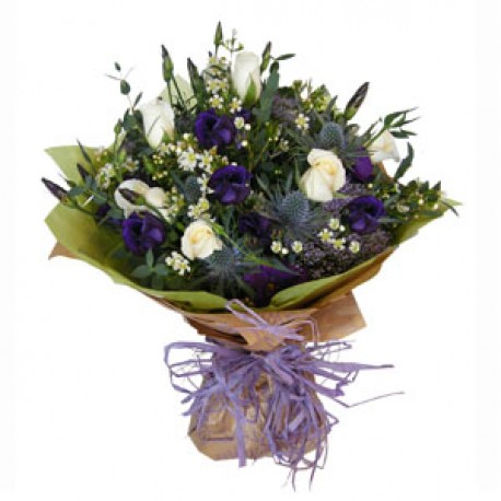 Whispering Blooms: Purple and White Summer Roses
