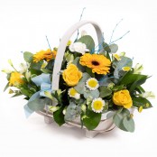 baby boy blue basket